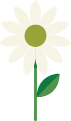 Minimalist daisy flower illustration with a few light beige petals 