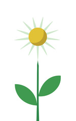 Minimalist daisy flower illustration with a few light beige petals 