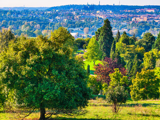 Fototapeta premium Ultra HD Autumn Landscape with Vibrant Trees and Distant Cityscape – Nature Meets Urban Elegance for Editorial, Design and Commercial Use
