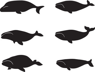 Bold number sixteen graphic design element