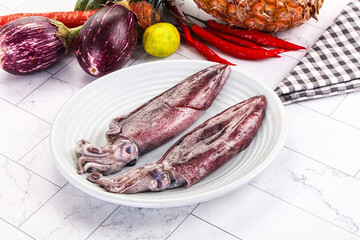 Raw fresh squid for cooking