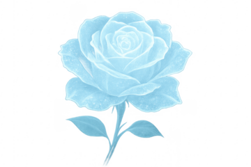 Blue ice rose with glowing effect and transparent background