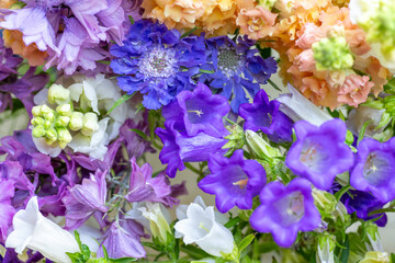 Close up of freshly cut spring flowers in shades of purple and blue. Beautiful delphinium, canterbury bells and snapdragons. Blooms detail shot.