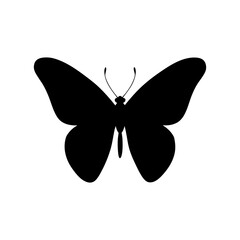 butterfly silhouette illustration