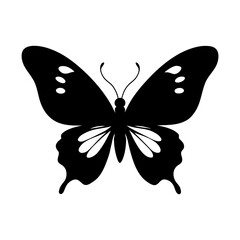butterfly on white background
