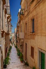 Fototapeta premium Sunlit Limestone Stair-Street with Potted Greenery and Blue Sky