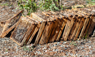 A stack of wooden boxes with beeswax on top