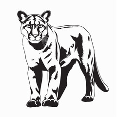 Puma Cat Vector Standing Pose Design on white background