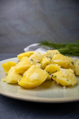 Boiled potatoes cut into pieces with dill. Ready dish on a gray background