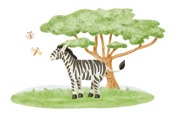 Simple watercolor zebra in jungle with acacia tree, butterflies and grass illustration isolated on white. Hand drawn African safari animal for kids nursery murals. Child drawing nature clip art