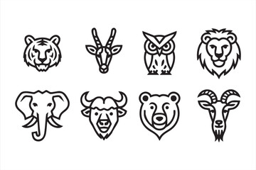 Obraz premium Safari and animal diversity vector representing conservation and ecology