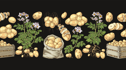 Potato sketched seamless border vector