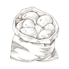 Sack of potatoes hand drawn vector