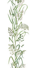 Meadow herbs vertical seamless border