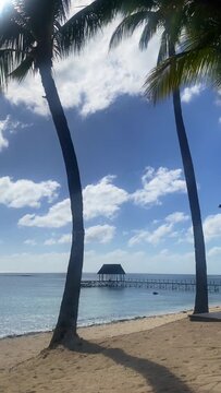 Photogenic pier on the beach near the Le Meridien Ile Maurice