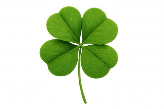 Four leaf clover representing luck and good fortune, symbol of hope and prosperity isolated on transparent background