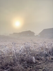 Sun above the houses a cold misty winter day