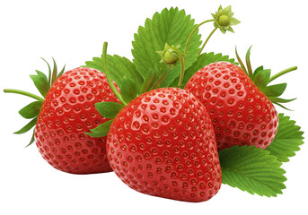 Fresh red strawberries with green leaves and stem realistic photography food transparent background