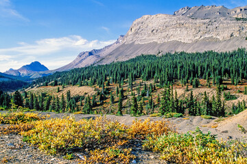 Mountainous landscape with autumn colors a sunny autumn day