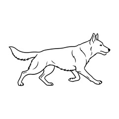 vector illustration of a dog