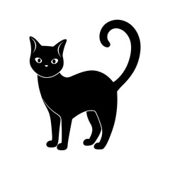 black cat on white background