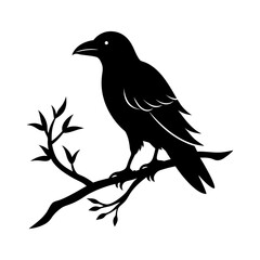 Fototapeta premium crow on a branch