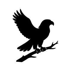 dove on a white background