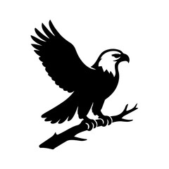 eagle vector illustration