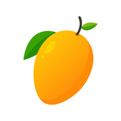 mango  fruit vector illustration