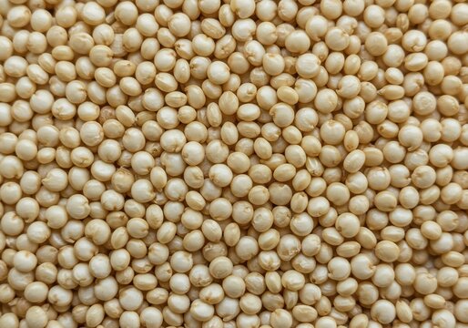 Macro top view of uncooked quinoa seeds creating a textured background.