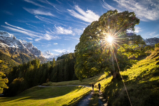 autumn view of the Rosenlaui and Reichenbachtal in Berner Oberland