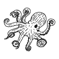 marine life sketch: swimming kraken or octopus