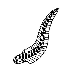 decorative leech or aquatic worm illustration