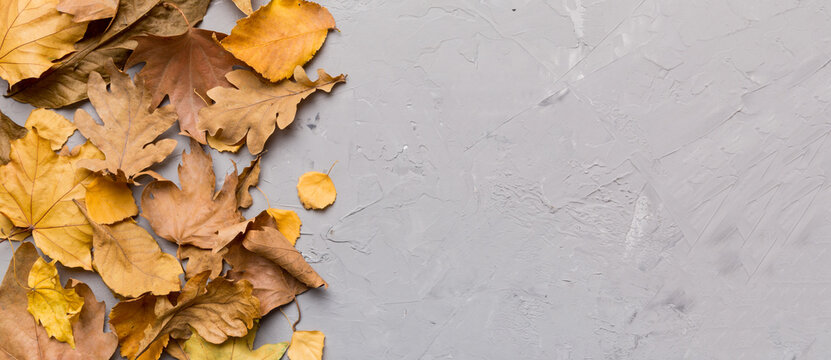 Fototapeta Autumn composition. Pattern made of dried leaves and other design accessories on table. Flat lay, top view