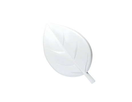 Isolated, glossy white leaf with veins, rendered against a stark, black background