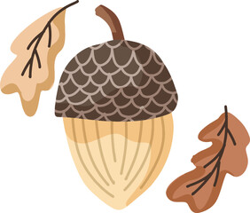 Acorn and Autumn Leaves Illustration