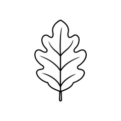 oak leaf icon line art vector illustration transparent background