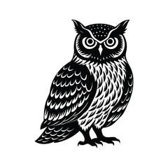 Obraz premium owl on a branch