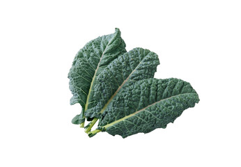 organic kale greens for healthy cooking and salads