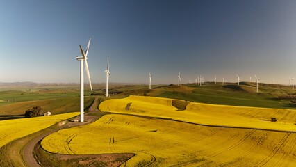 Aerial Drone View of North Brown Hill Wind Farm in Belalie East, South Australia – Yellow Canola Fields, Wind Turbines, Green Hills, and Renewable Energy Landscape in Rural Mid North SA © Thomas