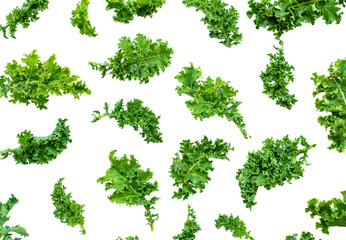 kale leaves arranged like a frame on white surface