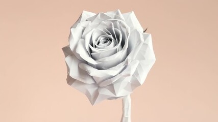 Geometric White Rose with Textured Petals on Pale Pink Background Studio Shot - Powered by Adobe