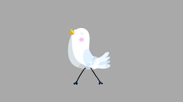 White bird cartoon animation character isolated non stop walking. Blinking eyes, opening bill, seamless loop behaviour.