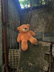 Large orange teddy bear toy placed on old wooden board in an abandoned yard with brick walls and dry branches. Symbol of lost childhood, nostalgia, and forgotten memories in an urban setting