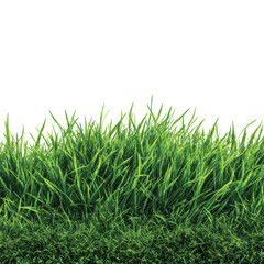 Fototapeta premium Nature action lush green grass scene vibrant environment isolated on transparent background