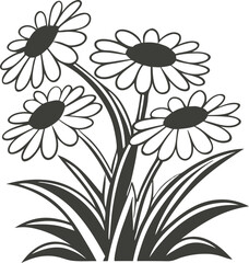 Stylized daisy flowers arrangement isolated on white background