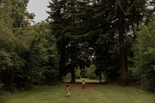 Children riding bicycles on a forest trail.