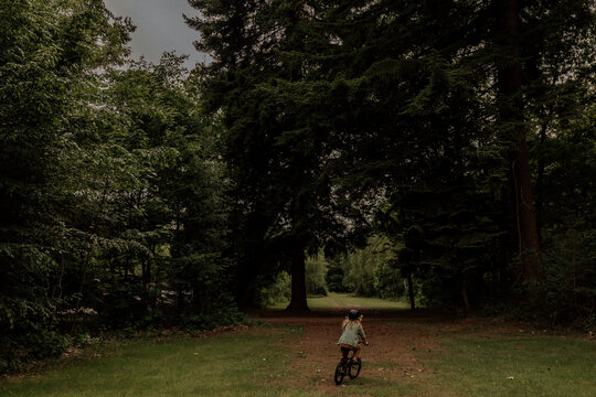 Children riding bicycles on a forest trail.