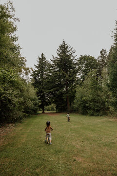 Children riding bicycles on a forest trail.