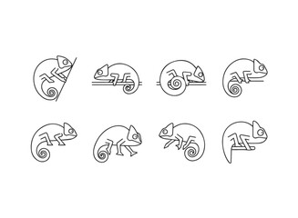 Set of Stylized Chameleon Line Art Icons.